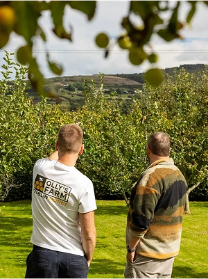 Two men stand on a grassy area in an orchard, facing away and looking at a hillside. One wears a white “Olly’s Farm” T-shirt, the other a striped sweater. Apples and tree branches hang in the foreground.