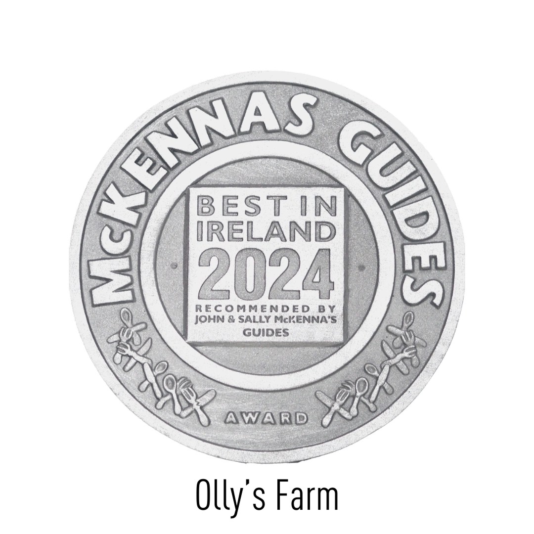 A silver circular medal reads “McKennas Guides Award” around the edge. In the center, it says “Best in Ireland 2024, recommended by John & Sally McKenna’s Guides.”.