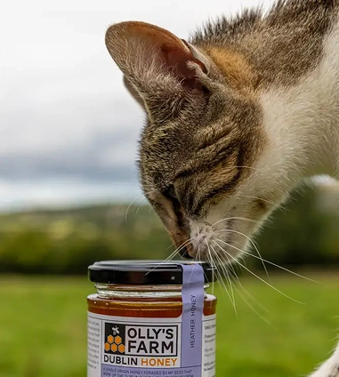 A close-up of a cat sniffing the lid of a jar labeled "Olly's Farm Dublin Honey," with a green outdoor background.