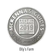 A round silver medal embossed with “McKennas Guides” around the edge and “Best in Ireland 2019, Recommended by John & Sally McKenna’s Guides” in the center, along with an award symbol at the bottom.