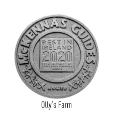 A round silver medal reading "McKennas Guides Award: Best in Ireland 2020, recommended by John & Sally McKennas’ Guides," with decorative elements and text around the edge.