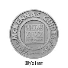 A circular silver medal with the text “McKENNAS GUIDES” around the edge. The center reads “BEST IN IRELAND 2022 Recommended by John & Sally McKenna’s Guide” above the word “AWARD.” Ornamental details are also visible.