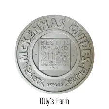 A silver medallion with the text “McKennas Guides Award” around the edge and “Best in Ireland 2023, recommended by John & Sally McKenna’s Guide” in the center.