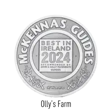 A silver circular medal reads “McKennas Guides Award” around the edge. In the center, it says “Best in Ireland 2024, recommended by John & Sally McKenna’s Guides.”.